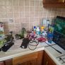 Aquael Leddy 60 Complete Aquarium Set. Image 3