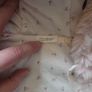 Pram suit Image 4