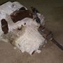 Nissan Almera N15 Gearbox Image 4