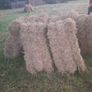 Square bales Image 5