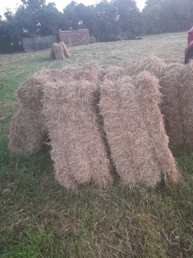Square bales