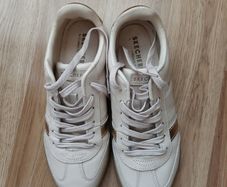 Sketchers Shoes