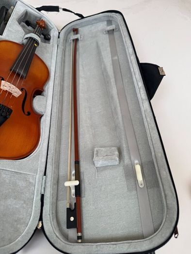 Violin