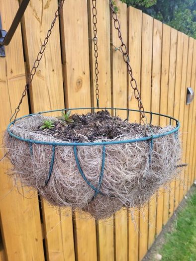 Hanging flower pots and seeding boxes