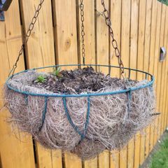 hanging flower pots