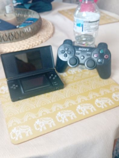 Nintendo the pair attic find ARTANE  D5