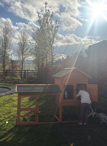 rabbit/guinea pig hutch