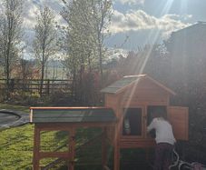 rabbit/guinea pig hutch