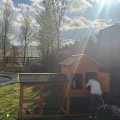 rabbit/guinea pig hutch