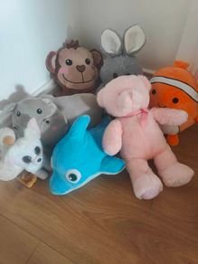 Teddies