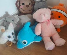 Teddies