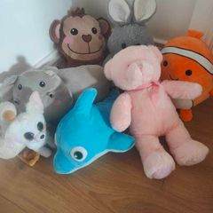 Teddies