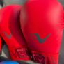2 Karate gloves and shield Image 2
