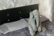 double bed base and headboard final price need gone asap