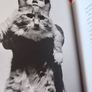 ed sheeran, a visual journey/2014/ 1st edition Image 6