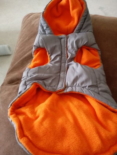dog coat