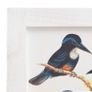 4-Panel Room Divider White 140x165 cm Bird Image 6