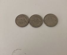 Irish 10 p 1993,1999,1999