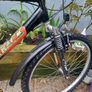Saxon Mens bike Image 3