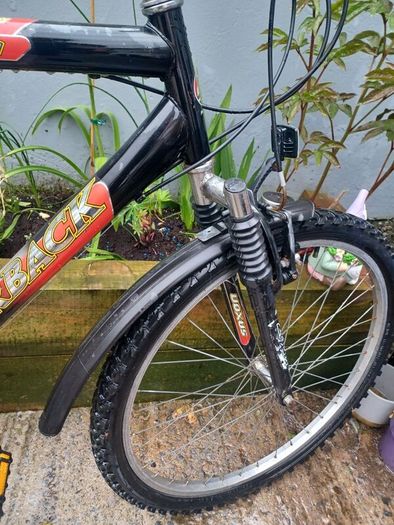 Saxon Mens bike