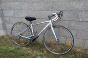 Trek Lexa Road Bike