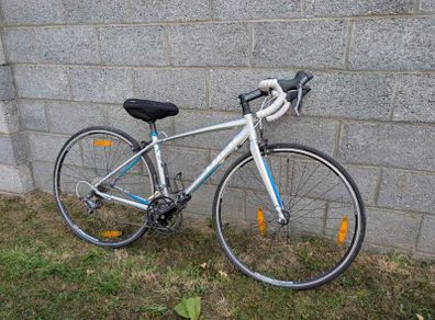 Trek Lexa Road Bike