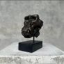 Gorilla Skull - Bronze Image 6