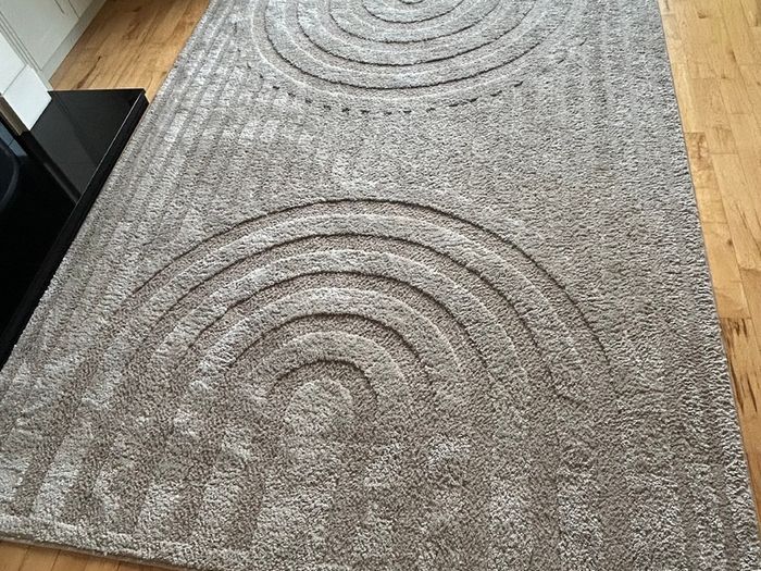 Large living room rug