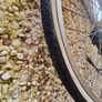Chinese bicycle Image 4