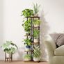 6 Tier Plant Stands Indoor, Corner Shelf Tall Plant Stand for Multiple Indoor Plants, Metal Tiered Display Stand for Living Room Balcony Garden Patio, Brown Image 2