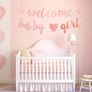 Gender Reveal Party Decoration Image 4