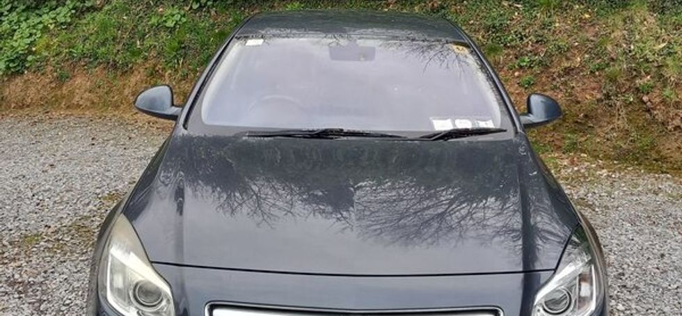 Opel Insignia 2010