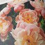 vintage new book flowers for everywhere 1974 Image 2