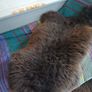 Genuine Sheepskin Image 6