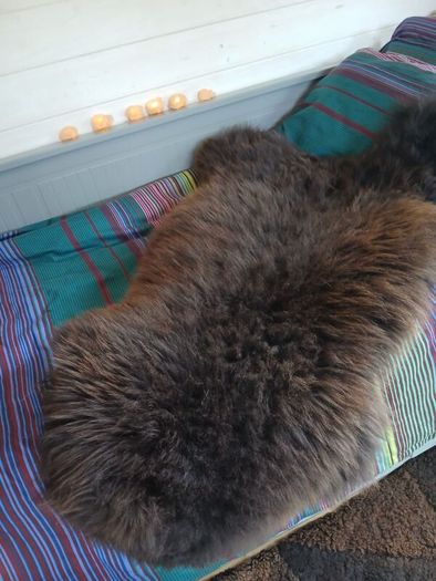 Genuine Sheepskin