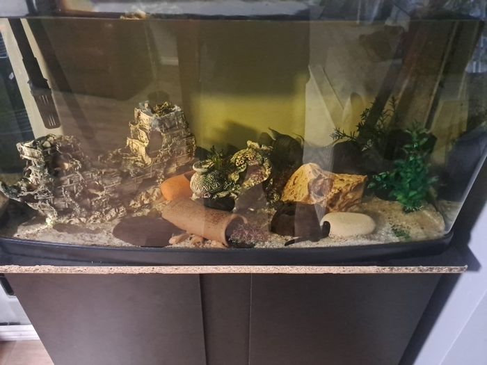 fish tank