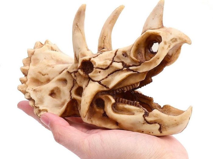 Skull Ornament Triceratops