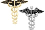 Combo of 2 Gold &amp; Silver Caduceus Doctor's Brooch / Lapel Pin