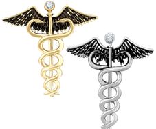 Combo of 2 Gold & Silver Caduceus Doctor's Brooch / Lapel Pin
