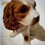 Cocker Spaniel Figurine 15 cm Image 2