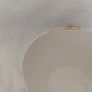 Arklow Willow sugar bowl Image 5
