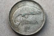 Irish two shilling florin