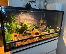 terrarium