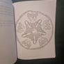 Life under the lens: A Scientific Colouring Book (Soft cover) Image 6