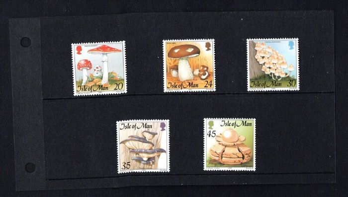 1995 Isle of Man Fungi Commemorative Stamps Presentation Pack