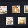 1995 Isle of Man Fungi Commemorative Stamps Presentation Pack Image 2