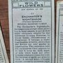 Vintage Wills Cigarette Cards - Wild Flowers & Garden Hints Image 5