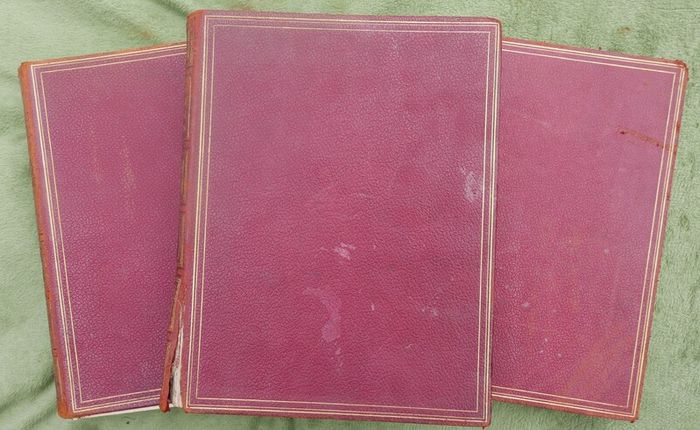 Hutchinson Story of the British Nation Vol I II III