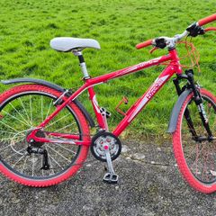 Mountain bike for adult