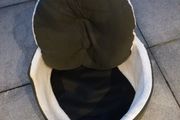 dog bed